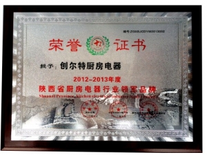 2012年-2013年領(lǐng)軍品牌